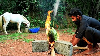 Watermelon Omlette തണ്ണിമത്തൻ മുട്ട  M4 TECH [upl. by Hillell]