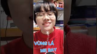 VÙNG LÁ ME BAY  Karaoke Dễ Hát [upl. by Jacquetta]