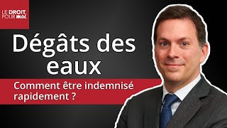 Dégâts des eaux  comment être indemnisé rapidement [upl. by Kerwinn]