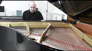 Chopin  Prelude in C minor  op 28 no 20 [upl. by Naimed117]