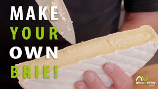 Ep 9  How to Make Brie [upl. by Alphard]