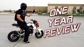 One Year With a Honda Grom  Owners Review [upl. by Aerdna]