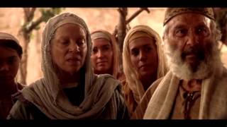 The Chronological Gospel of Jesus Christ Movie [upl. by Sams]