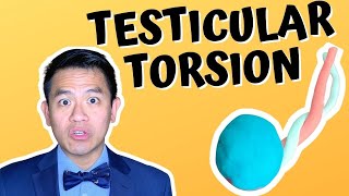 Testicular Torsion  What To Do About This Urologic Emergency [upl. by Daniela]