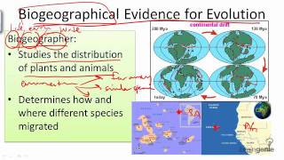 1126 Biogeographical Evidence for Evolution [upl. by Nyrahtak]