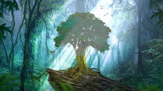 Relaxing Celtic Music for Meditation and Relaxation Peaceful Music quotForest Oakquot by Tim Janis [upl. by Dynah]