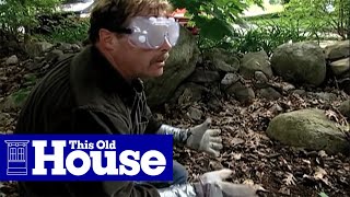 How to Clear Poison Ivy  This Old House [upl. by Von184]