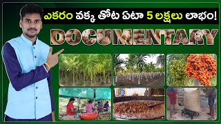 Areca Nut Farming in Telugu  Vakka Sagu  Betel Nut [upl. by Anitsyrhk]