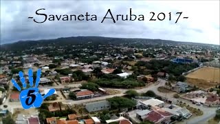 Savaneta Aruba Drone Flight [upl. by Enaamuj]