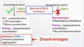 NSAIDs Ibuprofen and selective COX2 inhibitors Celecoxib [upl. by Lauree]