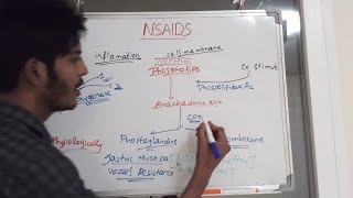 NSAIDs Pharmacology [upl. by Htrag574]