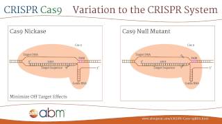 What is CRISPRCas9 [upl. by Naima]