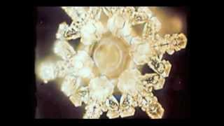 Masaru Emoto  Water Experiments [upl. by Carrol]