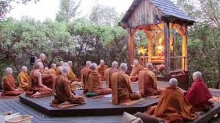 Pali Chanting In The Abhayagiri Buddhist Monastery  Theravada Buddhism [upl. by Tiersten]