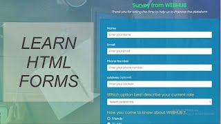 Forms  Survey Form using HTML and CSS for Beginners [upl. by Aihsela]