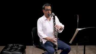 Instrument Bass Clarinet In Depth [upl. by Blondelle]