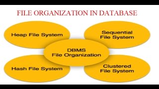 FILE ORGANIZATION IN DATABASE [upl. by Anees]