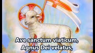 Ave Sanctum Viaticum  Traditional Catholic Latin Hymn [upl. by Lleda880]