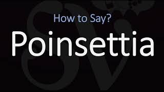 How to Pronounce Poinsettia CORRECTLY [upl. by Aisilef]