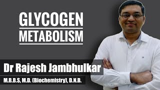 10 Glycogen metabolism Glycogenesis and Glycogenolysis [upl. by Ahsii716]