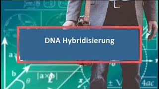 DNA Hybridisierung [upl. by Chloette]