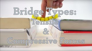 Bridge Types Tensile amp Compressive Forces [upl. by Trahurn764]