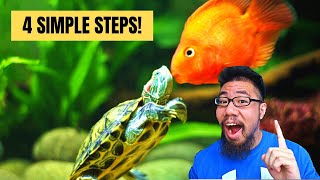 How To Keep Fish With Turtles [upl. by Mihar]