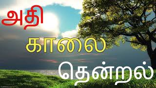 KAALAI NERA PAADALGAL TAMIL CINEMA SONGS TAMIL HITS ILAYARAJA MORNING MELODY GOOD MORNING SONGS [upl. by Firooc75]