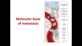 Metastasis Molecular Basis [upl. by Sly]