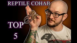 Reptile Cohabitation The Top 5 Reptiles That Can Cohab Successfully And How To Do It [upl. by Gabey814]