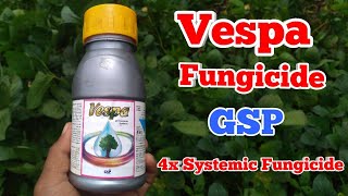 Propiconazole 139   Difenoconazole 139   Vespa Fungicide  Gsp Crop Science [upl. by Lexy]