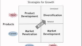 The Ansoff Matrix [upl. by Airrej]