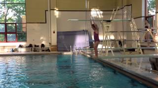 Teach a Flip for Springboard Diving [upl. by Yrffej]