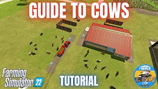 GUIDE TO COWS  Farming Simulator 22 [upl. by Thirza]