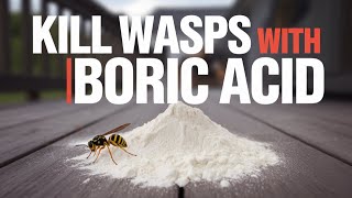 How to Kill Wasps with Boric Acid and Wasp Nest Decoy DIY [upl. by Chick224]