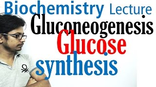 Gluconeogenesis pathway biochemistry [upl. by Arrik999]