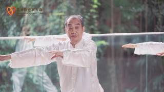 導引養生功十二法 – 完整練習  Qigong 12 Forms – Full Version Practice [upl. by Nwahc]