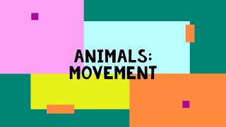 Animals Movements [upl. by Essyle243]