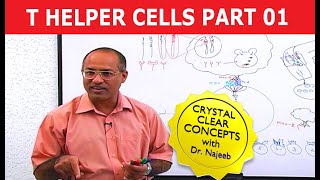 T Helper Cells  Immunology  Part 110 [upl. by Mailliwnhoj]