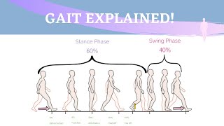 Gait Range of Motion Animation [upl. by Aikemit]