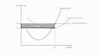 Introduction to Perfect Competition [upl. by Aissenav654]