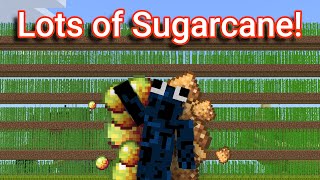 Building a HUGE Sugarcane Farm  More Nether Quest in Cubecraft Skyblock Ep 19 [upl. by Nurav]