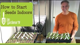 How I Start Seeds Indoors Tips amp Techniques [upl. by Abrahan]