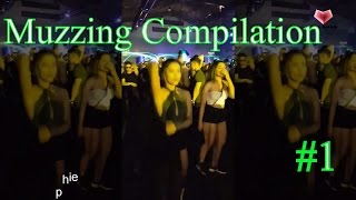 Muzzing Compilation 1 [upl. by Wescott]