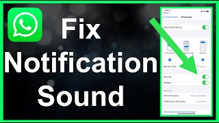 How To Fix WhatsApp Notification Sound EASY [upl. by Yoccm]