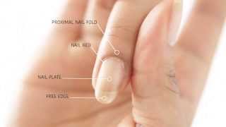 HOW TO REMOVE CUTICLES WITHOUT BLEEDING  abetweene [upl. by Arrimat]