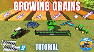 HOW TO GROW GRAINS  Farming Simulator 22 [upl. by Amitie]