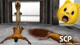 SCP Containment Breach  Fan Choice FRIGHTday [upl. by Yatnuhs]