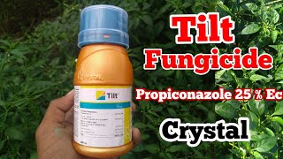 Propiconazole 25 Ec  Tilt Fungicide  Crystal Crop Protection [upl. by Narut]