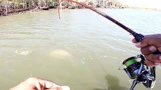 The best BARRAMUNDI fishing I’ve ever seen [upl. by Balas]